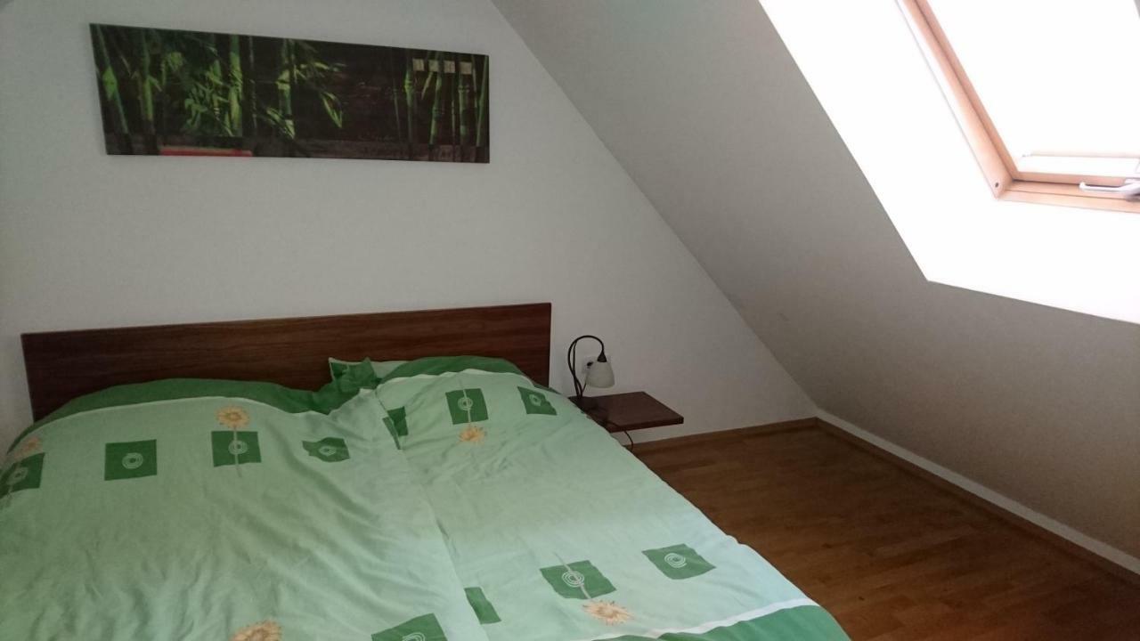 KrškoApartma Geoteh Terme Catez 6032别墅 外观 照片
