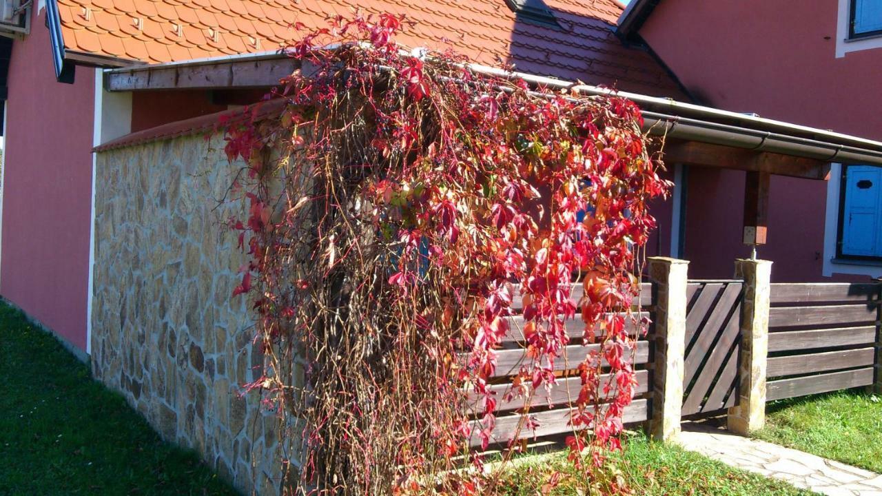 KrškoApartma Geoteh Terme Catez 6032别墅 外观 照片